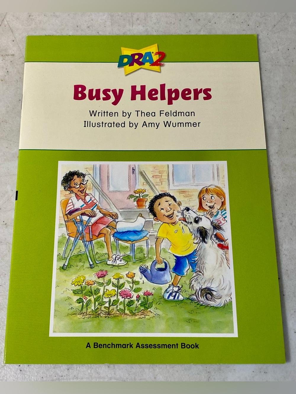 Busy Helpers (A Benchmark Assessment Book Level 30) - Paperback - VERY GOOD